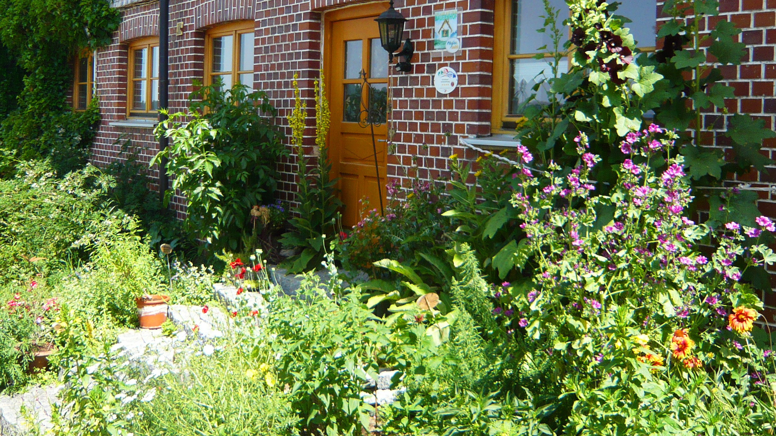 Ferienhof-Baur_HausHof_Images_Kraeutergarten