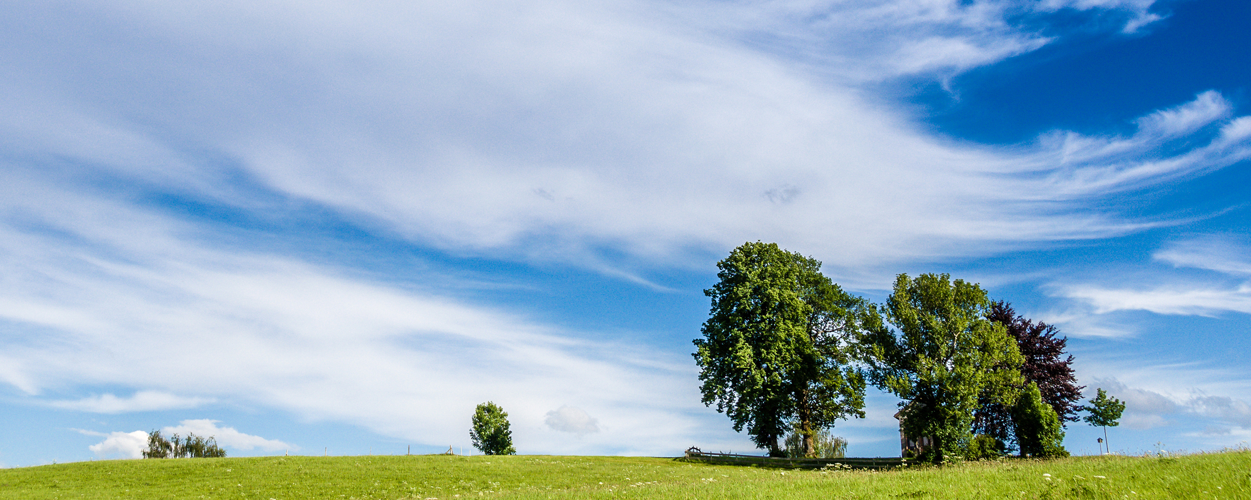 Bilder_Fewo-Veilchen_Header_High