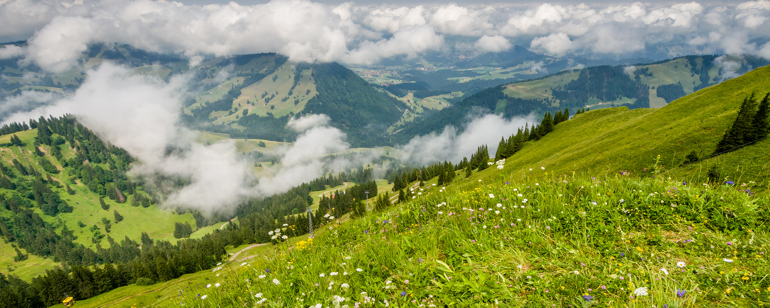 Bilder_Fewo-Vergissmeinnicht_Header_High